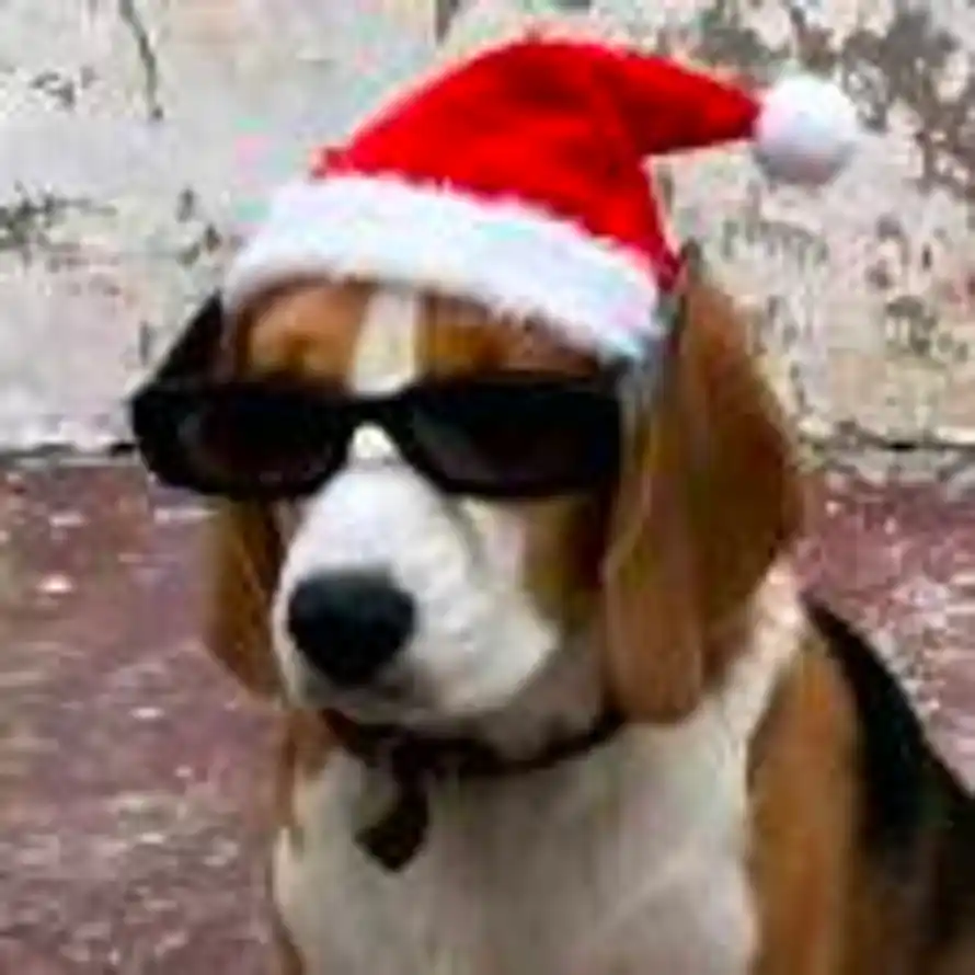 一个句号的头像