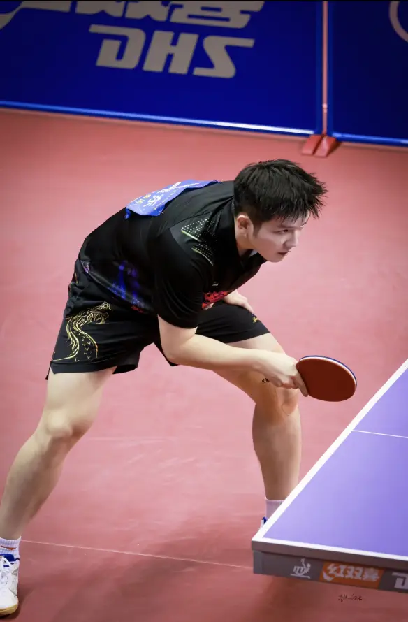 4k比赛壁纸 - 乒乓球 - 樊振东 - 运动服「哲风壁纸」