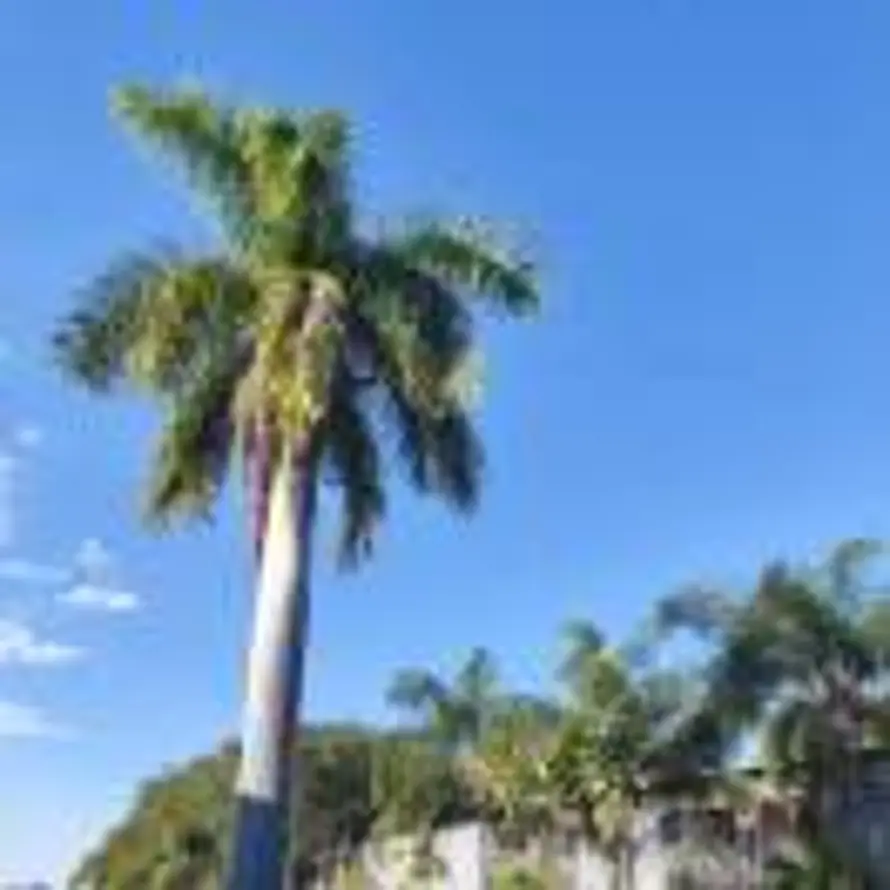 电仪罗良勇的头像