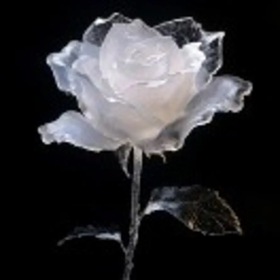 似水年华的用户头像 - 哲风壁纸