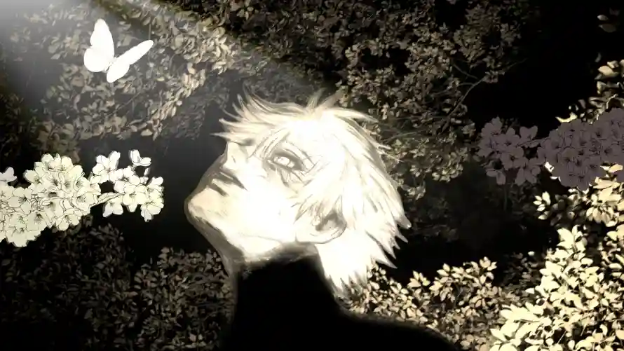 4k光影壁纸 - 花 - 喰种 - 场景「哲风壁纸」