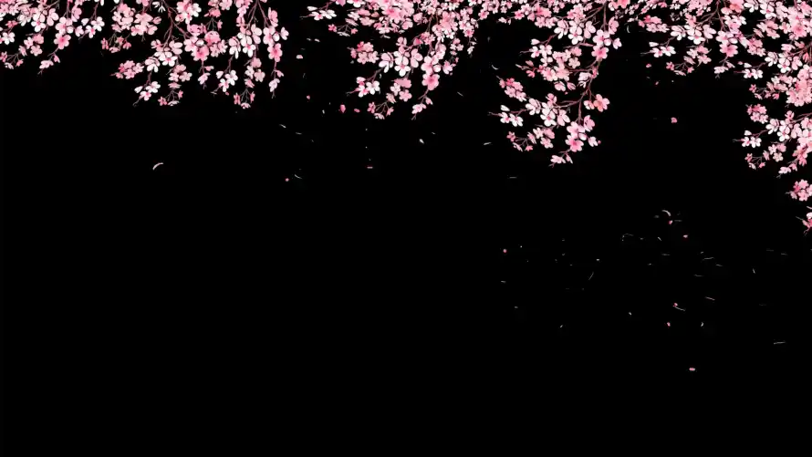 4k红温壁纸 - 花瓣 - 暗黑背景 - 樱花花瓣「哲风壁纸」