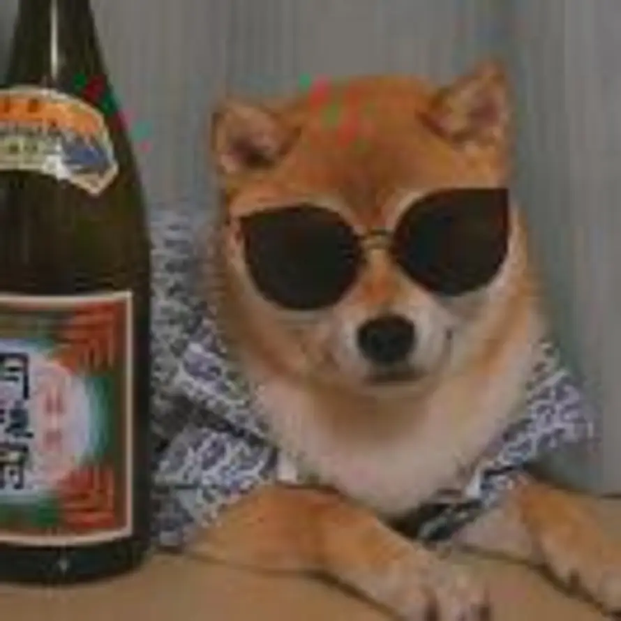 ㅤㅤㅤㅤㅤㅤㅤㅤ的头像