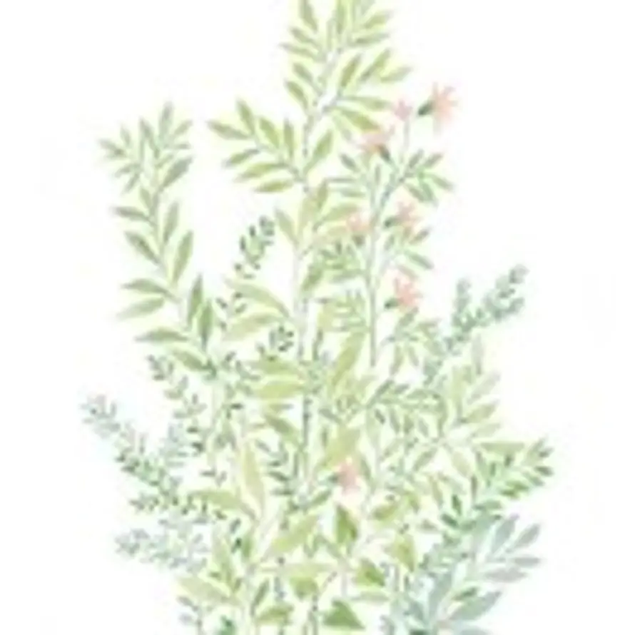 l将来时！的头像