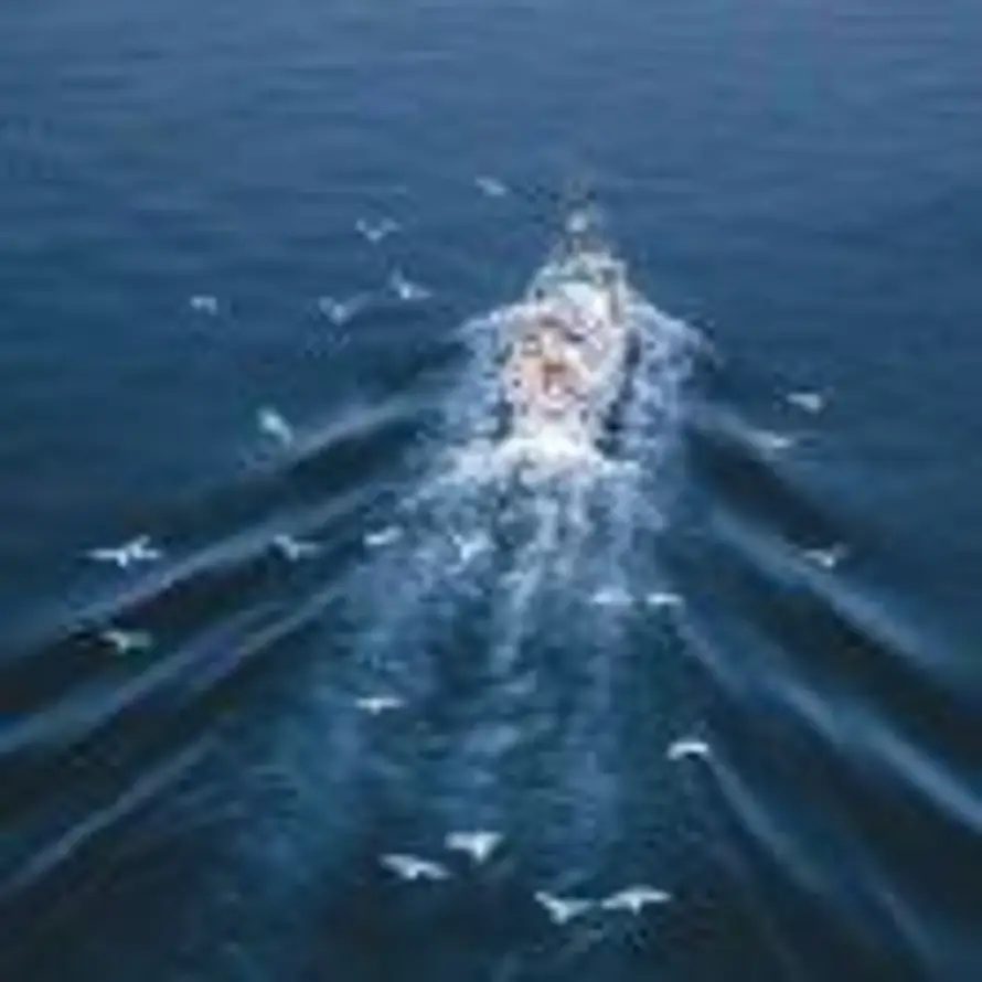 风藏在天空里的头像