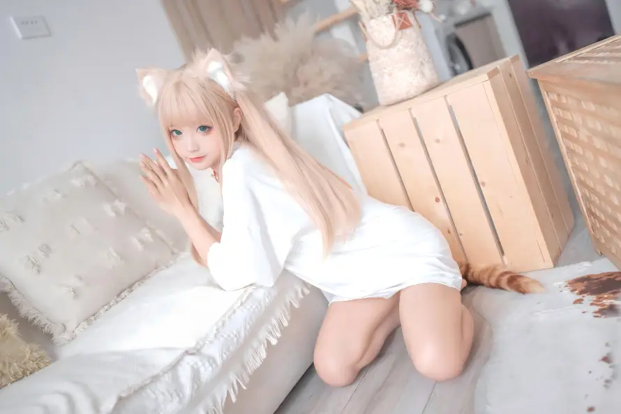 6k兽耳壁纸-室内场景 - 写真-居家布置壁纸推荐「哲风壁纸」