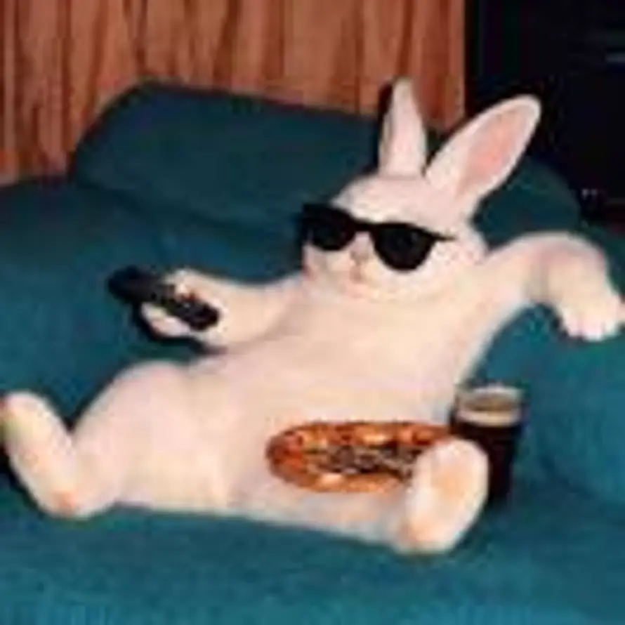 幼儿园的高材生的头像