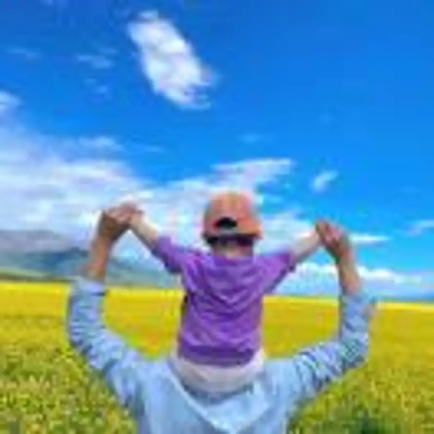 季风过境的头像