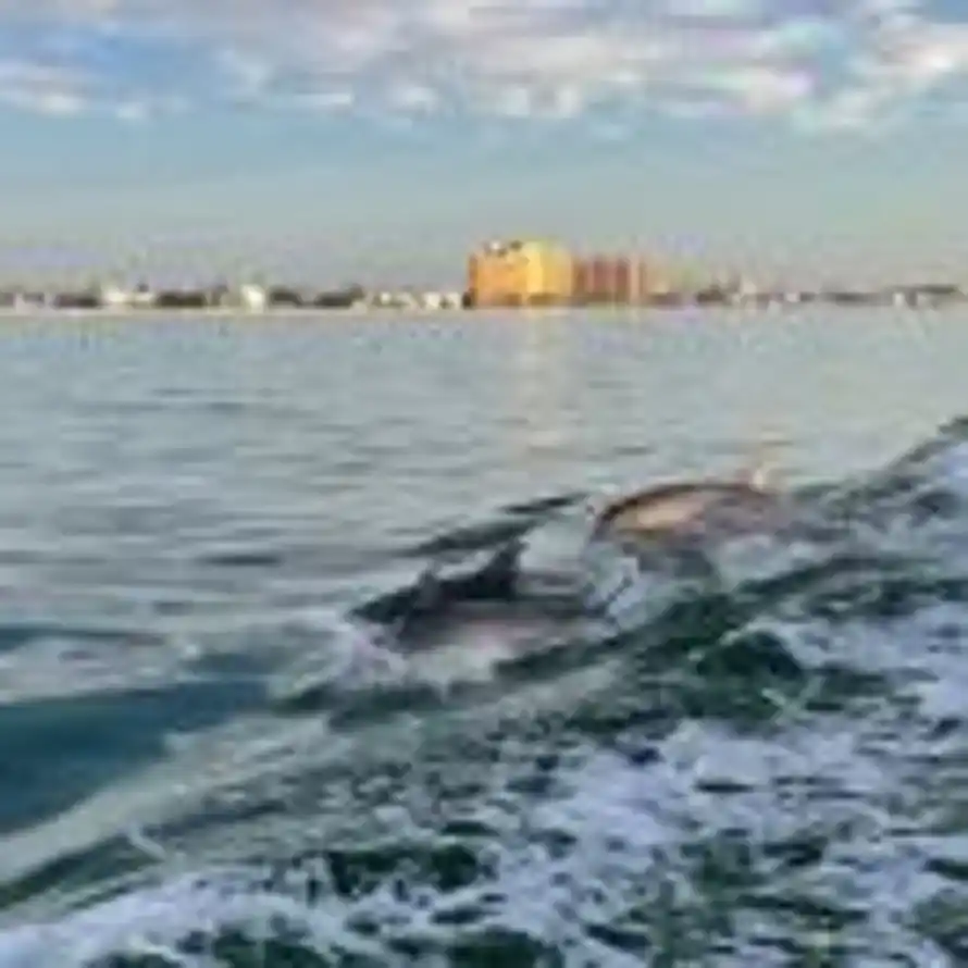 侠客流年的头像