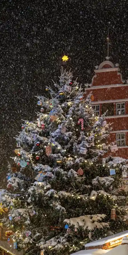 4k下雪壁纸 - 冬日 - 夜晚 - 灯光「哲风壁纸」