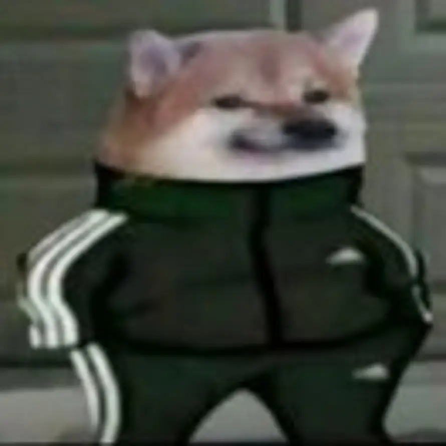 依然fw西的头像