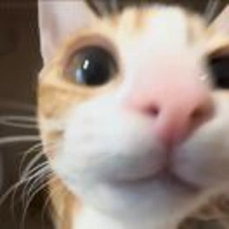 铁甲大宝的头像