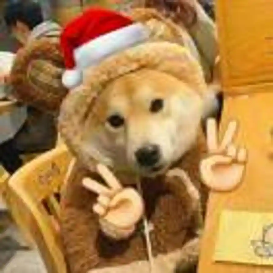 南齐召野的头像