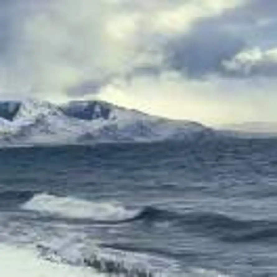 凌华漫尽落芳容的头像