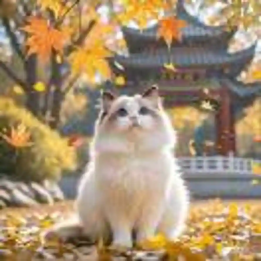 移动秦瑛13871918094的头像