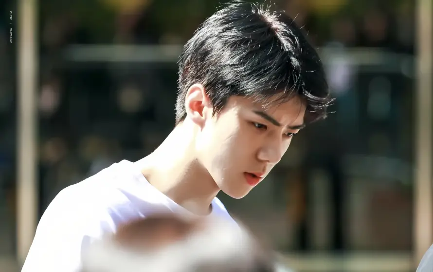 4k帅气壁纸 - 户外 - 清新 - 阳光「哲风壁纸」