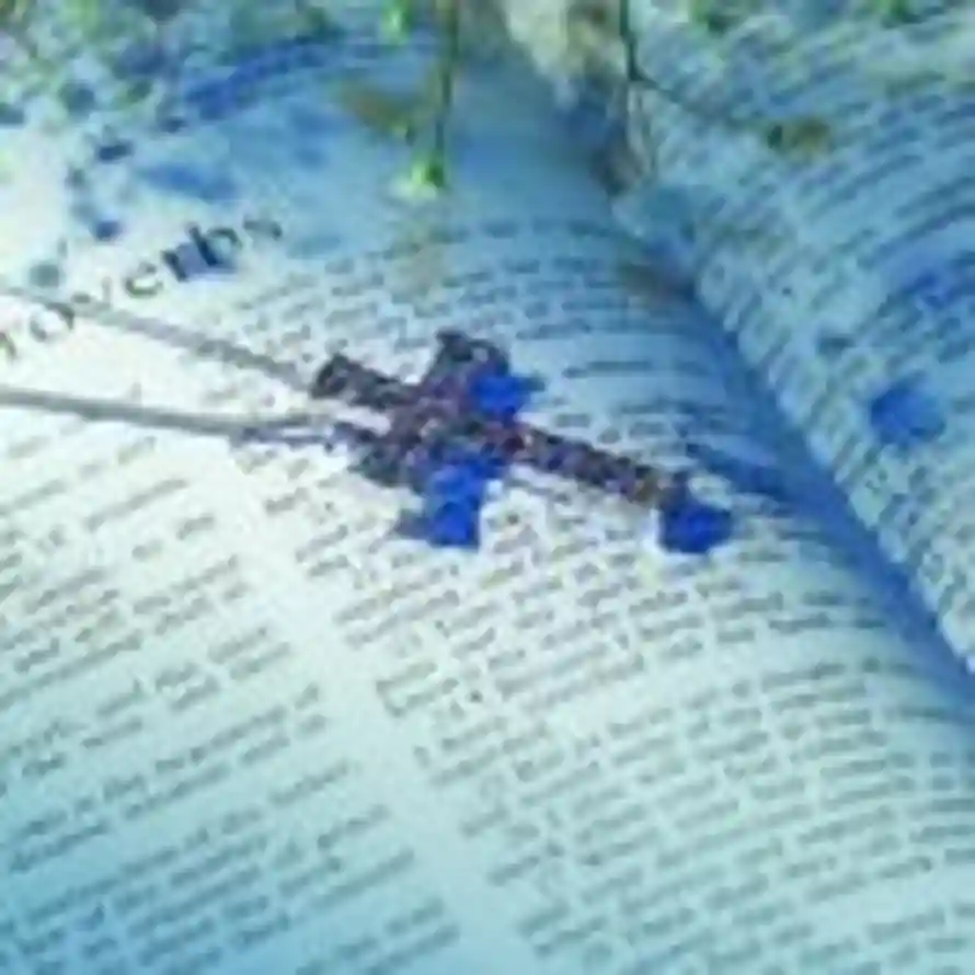 God's love.的头像