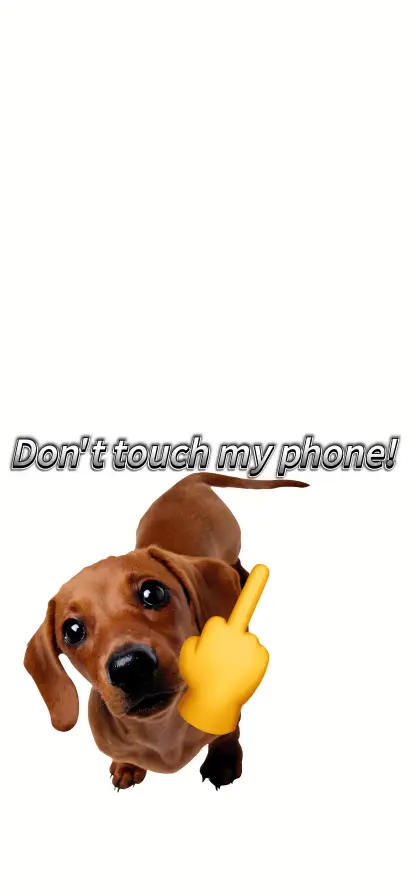 4k创意壁纸 - 宠物 - 抽象 - 文字「哲风壁纸」