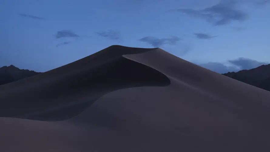 Favorite Image