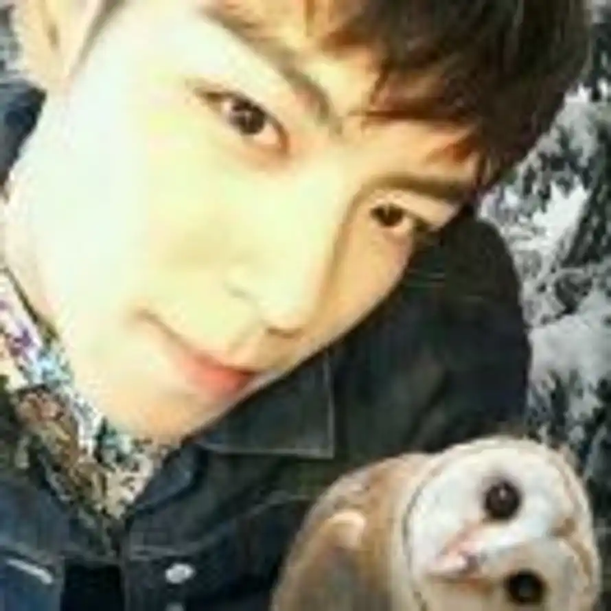 黑夜里的一束光的头像