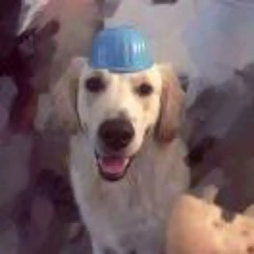 疯疯癫癫小徐的头像