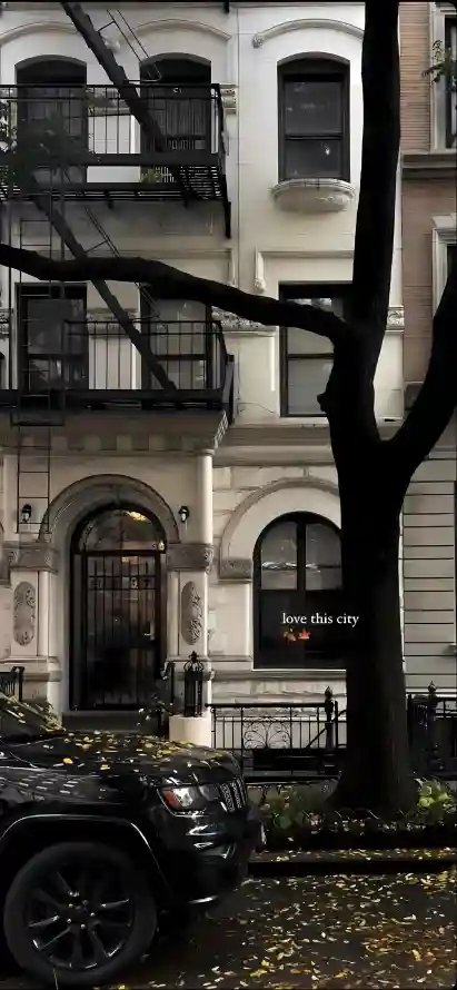 4k房屋壁纸 - 树枝 - 秋天 - 窗户「哲风壁纸」