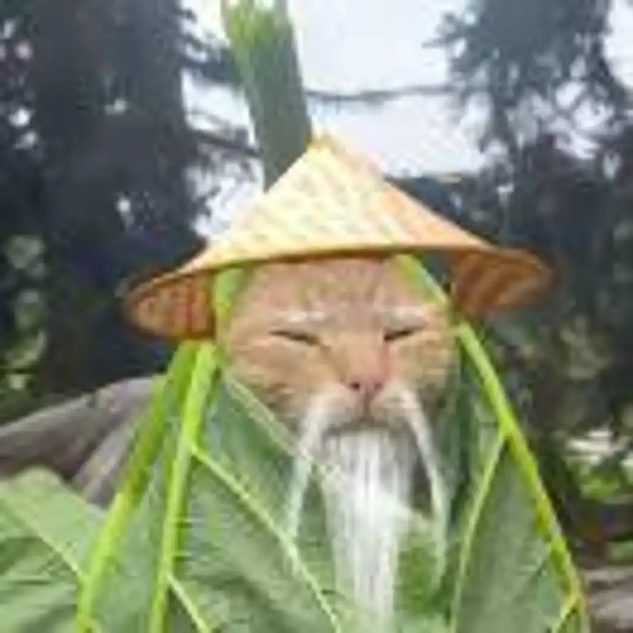 🤔的头像
