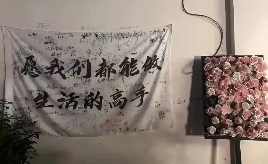 2k文字壁纸-玫瑰花壁纸和白布-书法文字热门的壁纸「哲风壁纸」