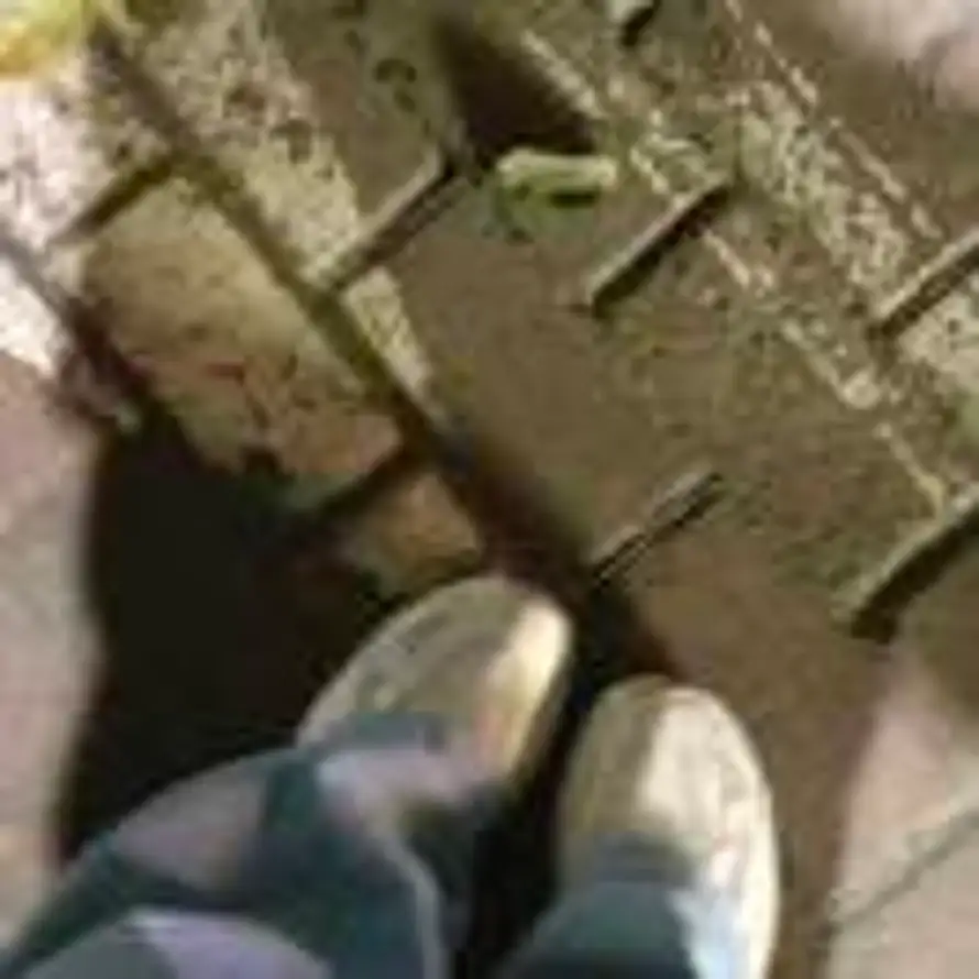 你的月亮我的心的头像