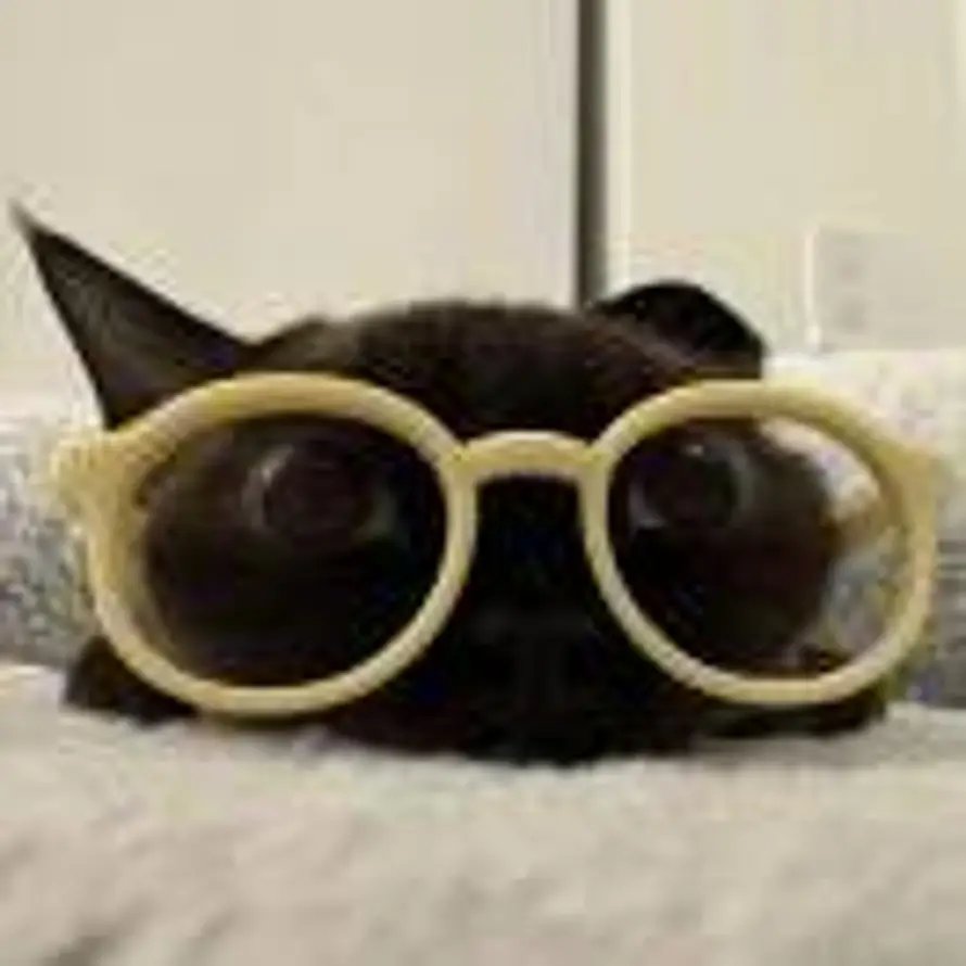 变懒了撸铁的头像