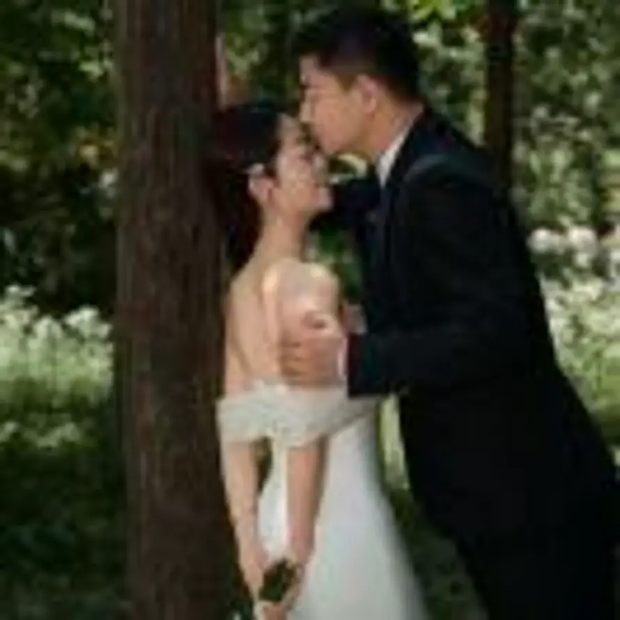 中瑞烟花有限公司的头像