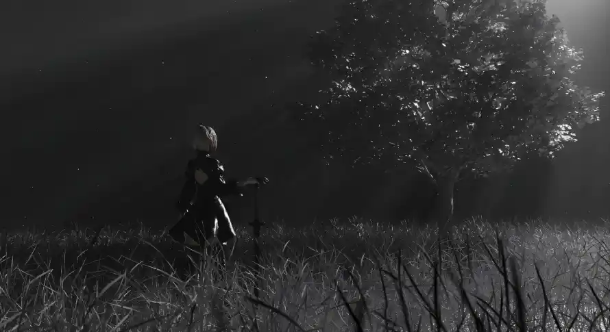 4k2B壁纸 - 光影 - 寂静 - 树影「哲风壁纸」 4k2B壁纸 - 光影 - 寂静 - 树影「哲风壁纸」