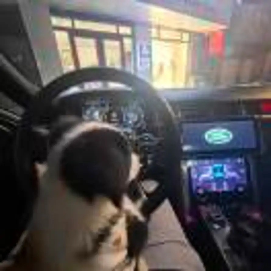 Hello的头像