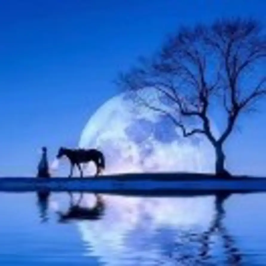 本自具足的头像