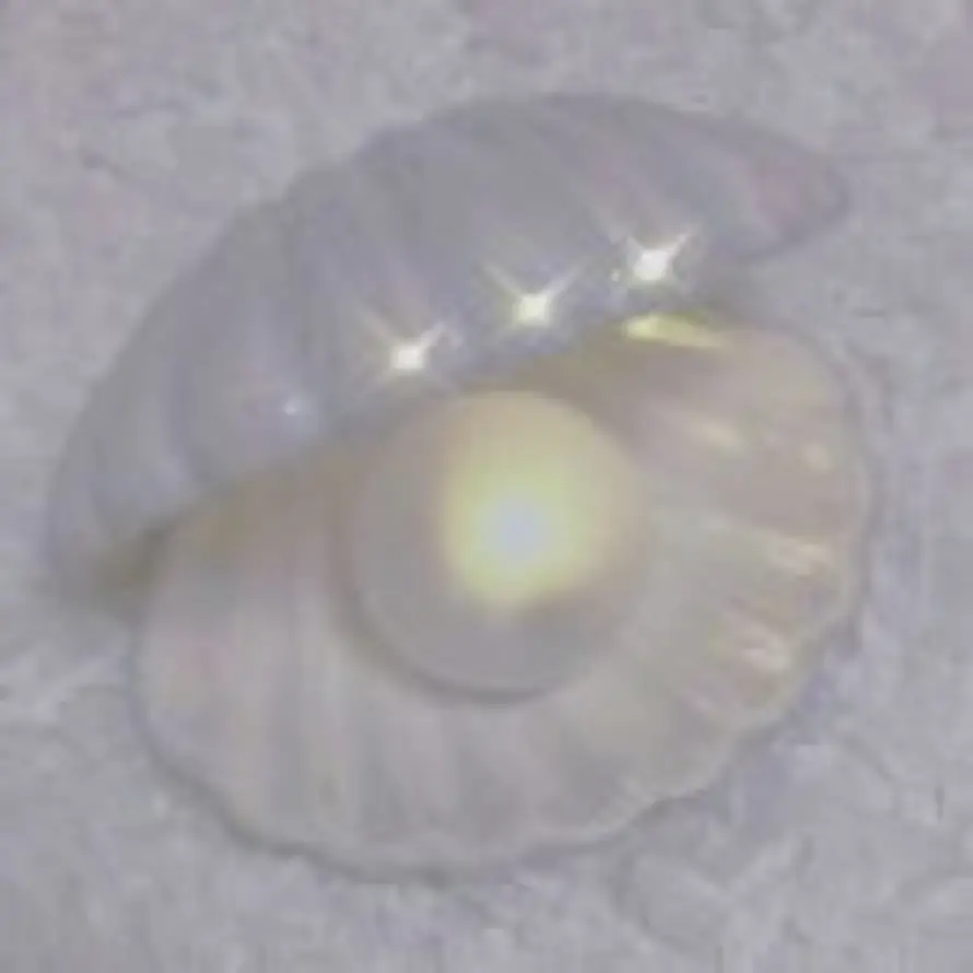 风意忽来的头像