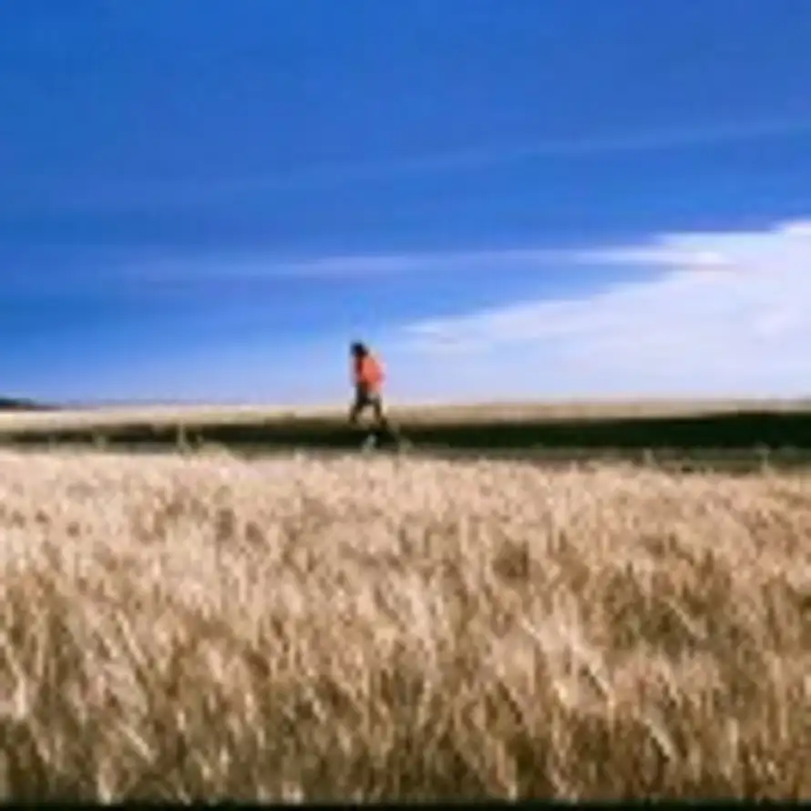 炽热之心的头像