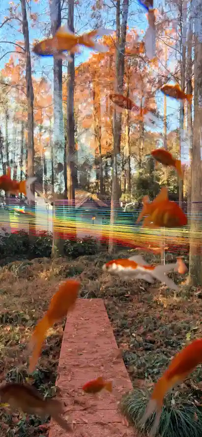 4k小径壁纸 - 彩虹 - 树林 - 梦幻「哲风壁纸」