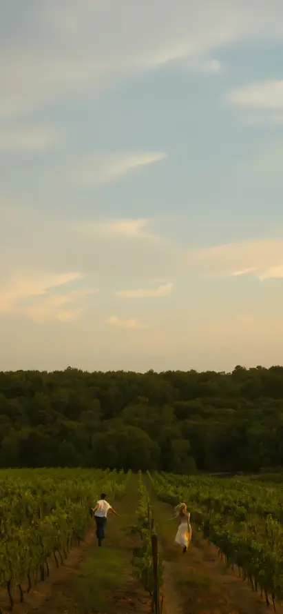 4k乡村壁纸 - 夕阳 - 奔跑 - 情侣「哲风壁纸」