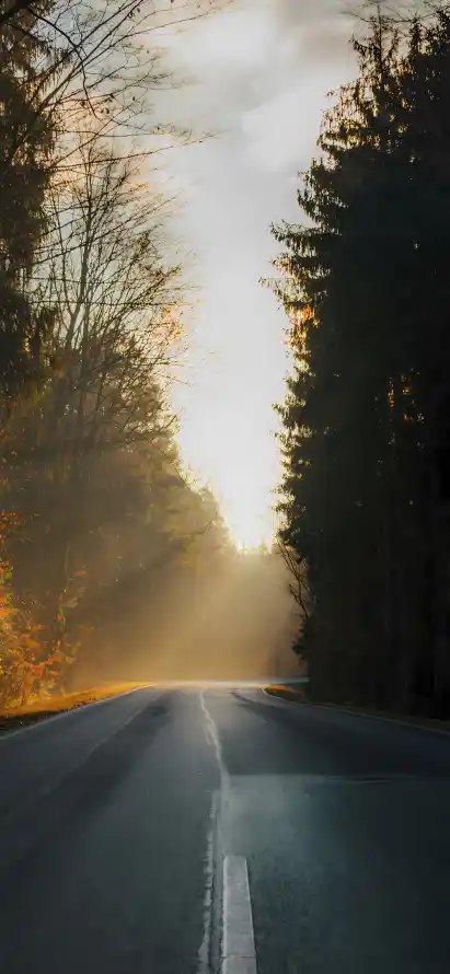 4k公路壁纸 - 夕阳 - 树林 - 秋景「哲风壁纸」