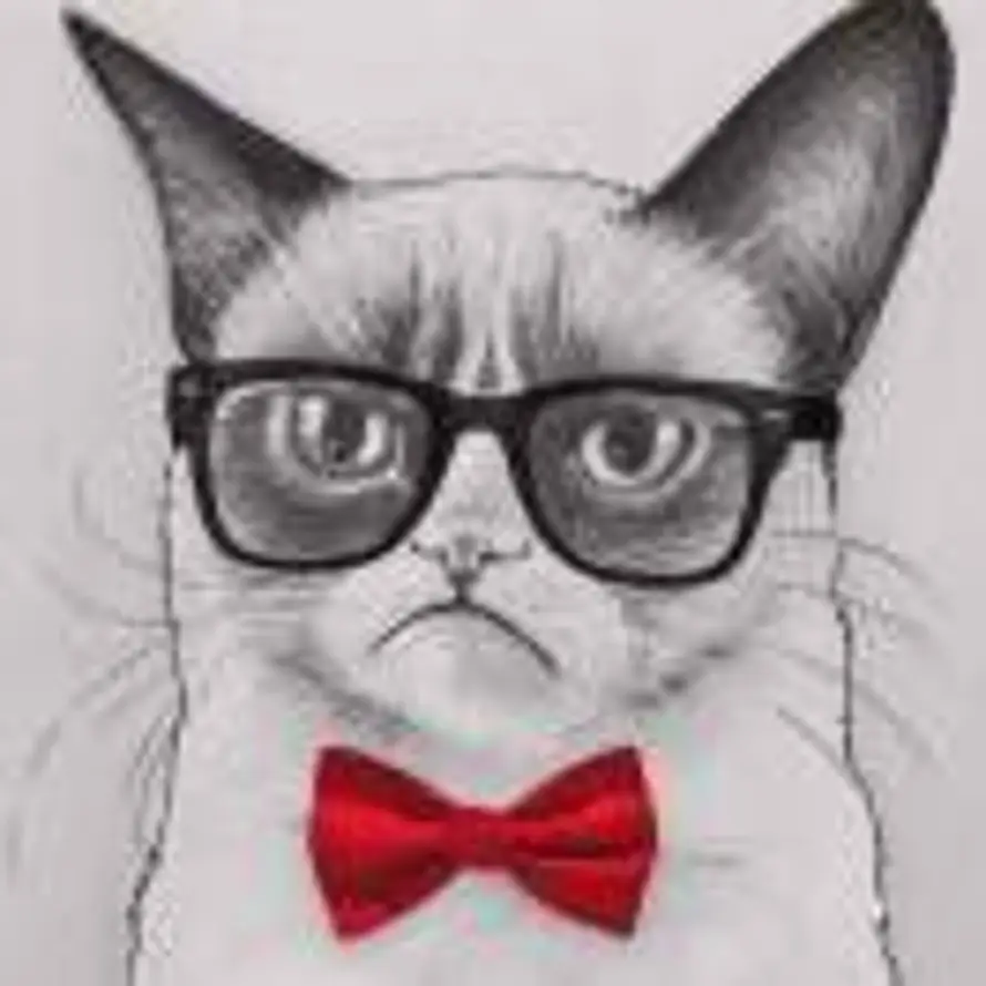 天淡雲闲的头像