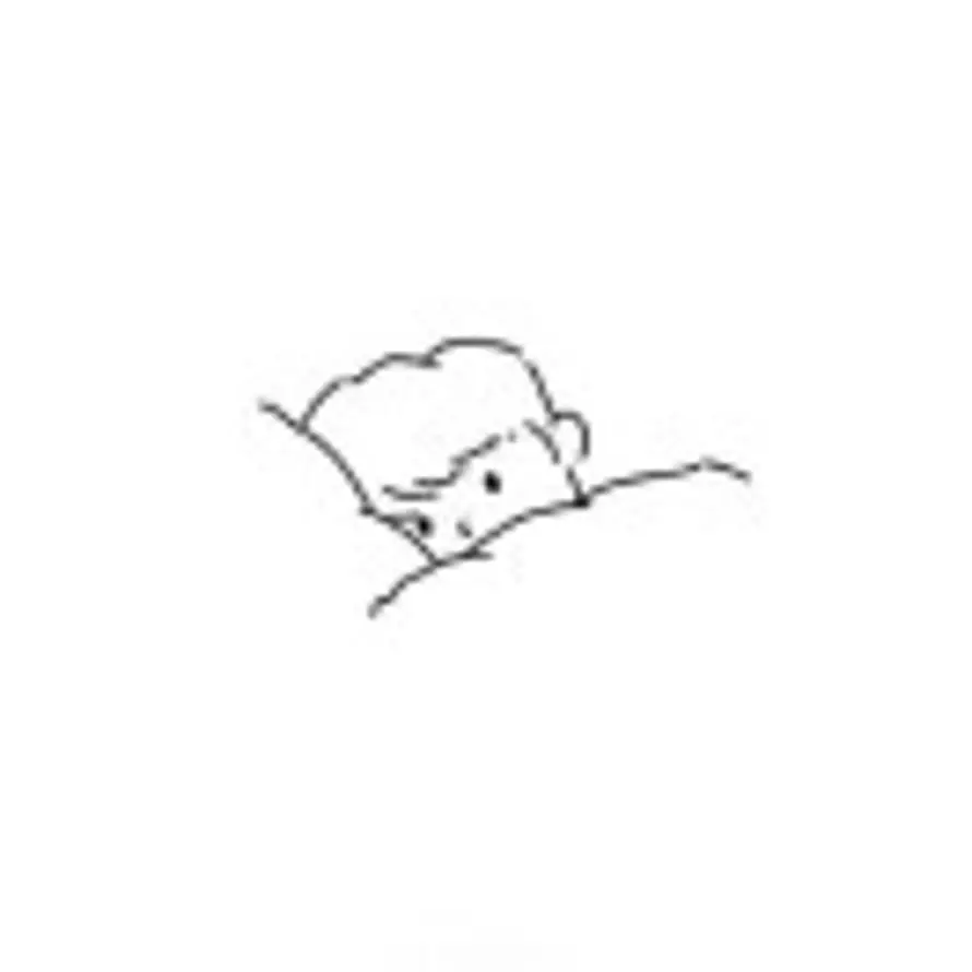 不穿裤衩的狼的头像