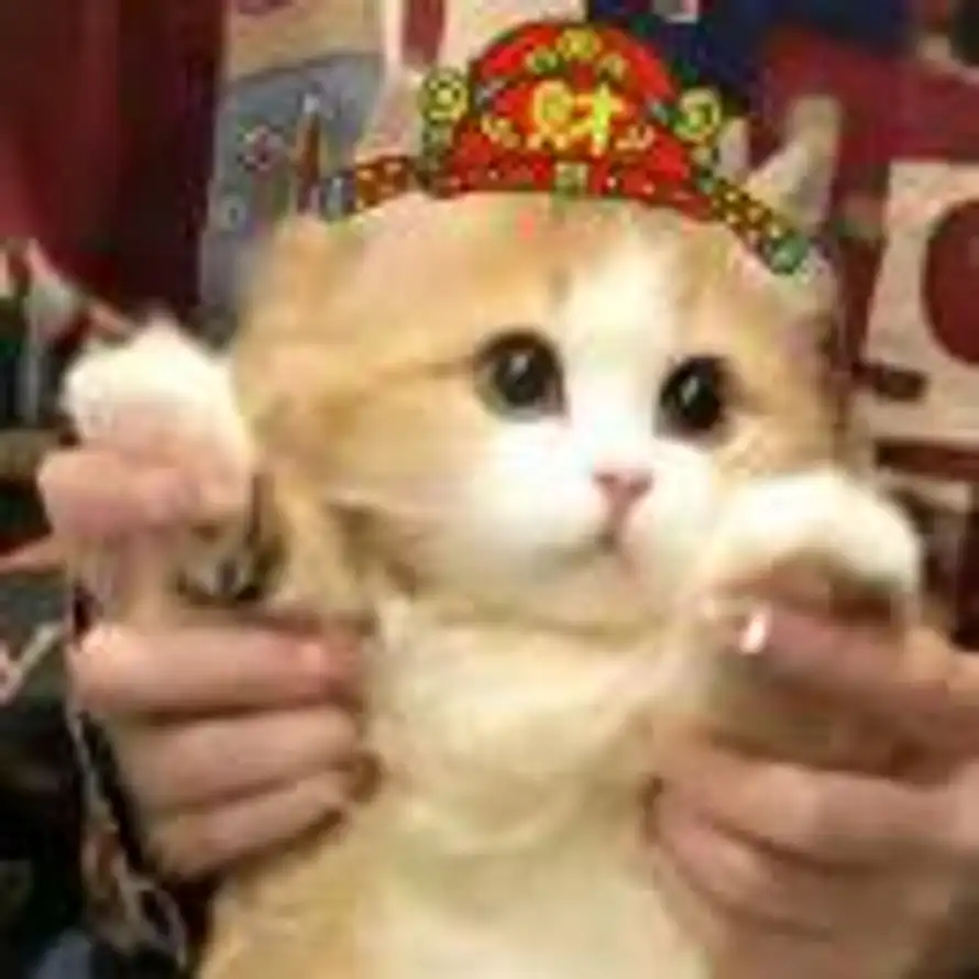 ᥫᩣ默然ℳᥫᩣ的头像