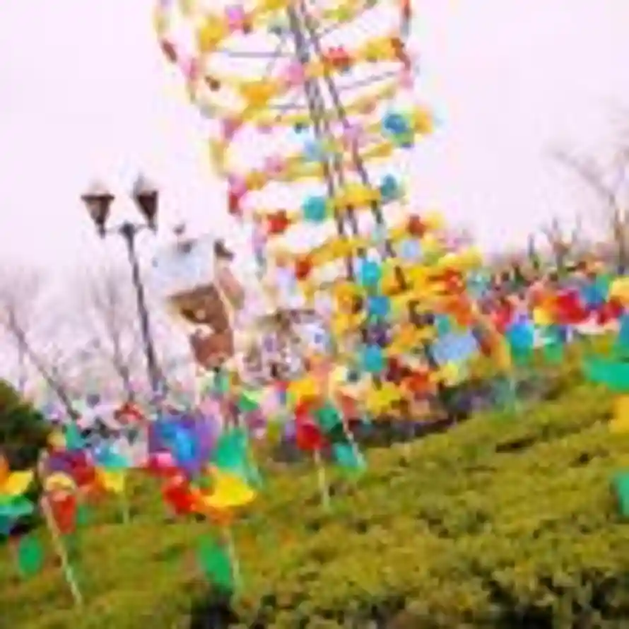 朝花夕拾的头像