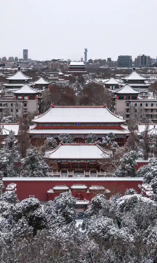 4k冬季壁纸 - 北京 - 树木 - 白雪「哲风壁纸」