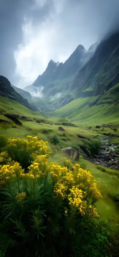 4k云雾壁纸 - 壁纸 - 山地 - 山峰「哲风壁纸」