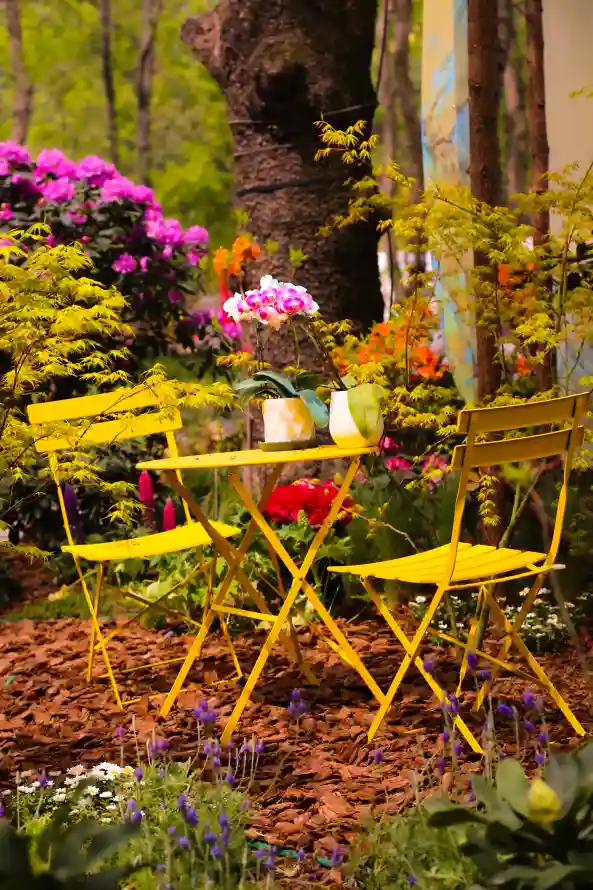 4k休闲壁纸 - 庭院 - 户外 - 树木「哲风壁纸」