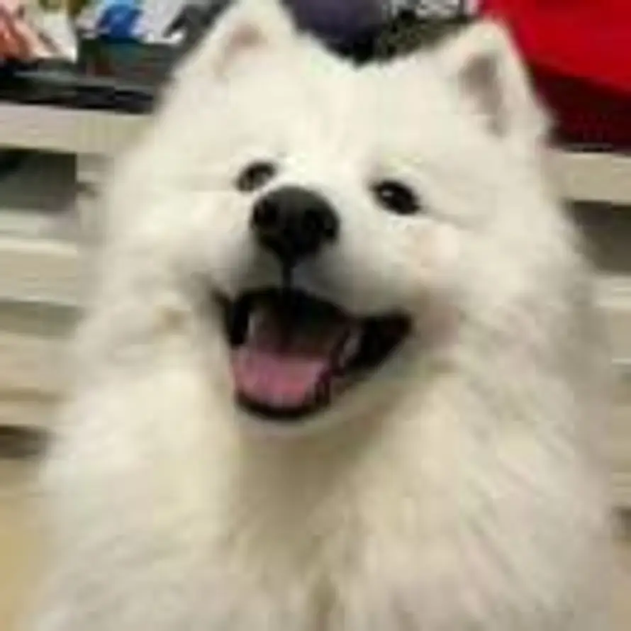 一梦三醒的头像