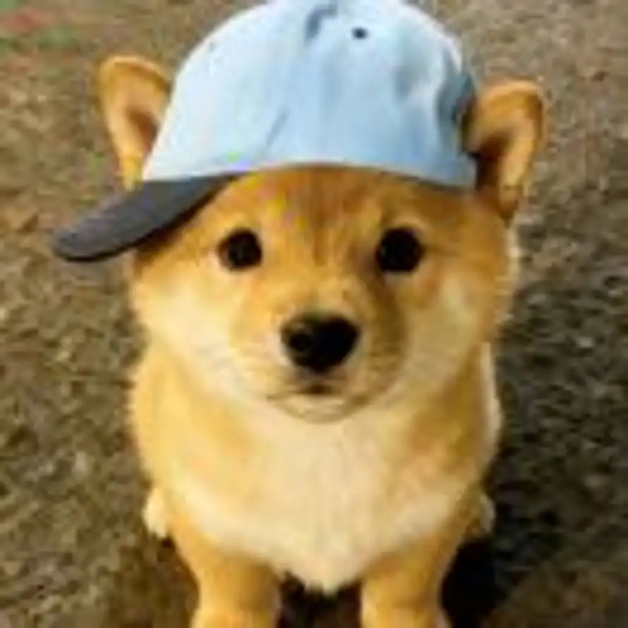 KKKris的头像