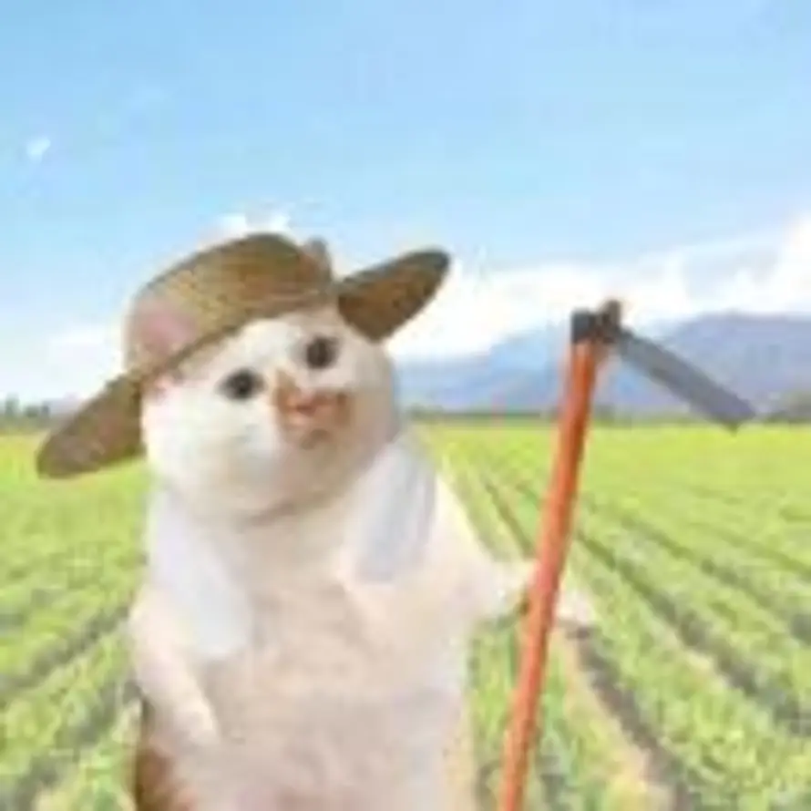 我是一颗小逗点🐷的头像