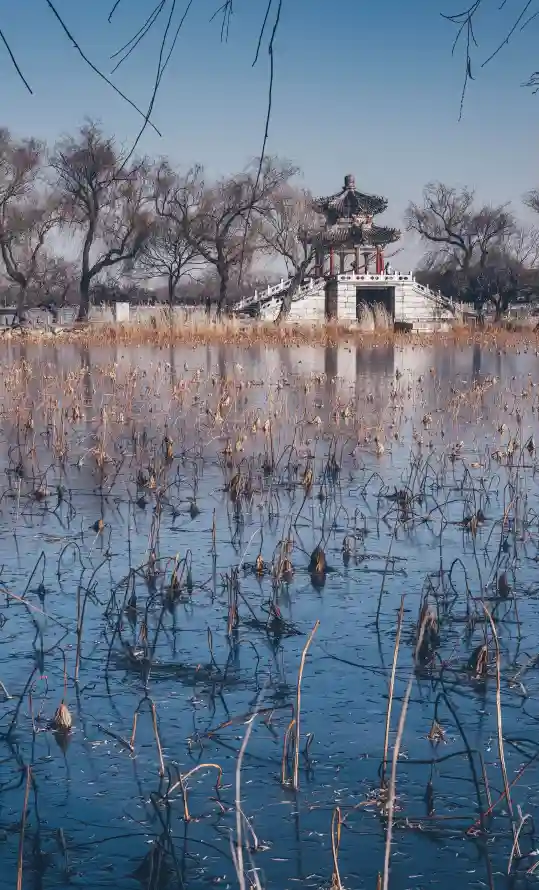4k冬季壁纸 - 冰面 - 北京 - 城市「哲风壁纸」